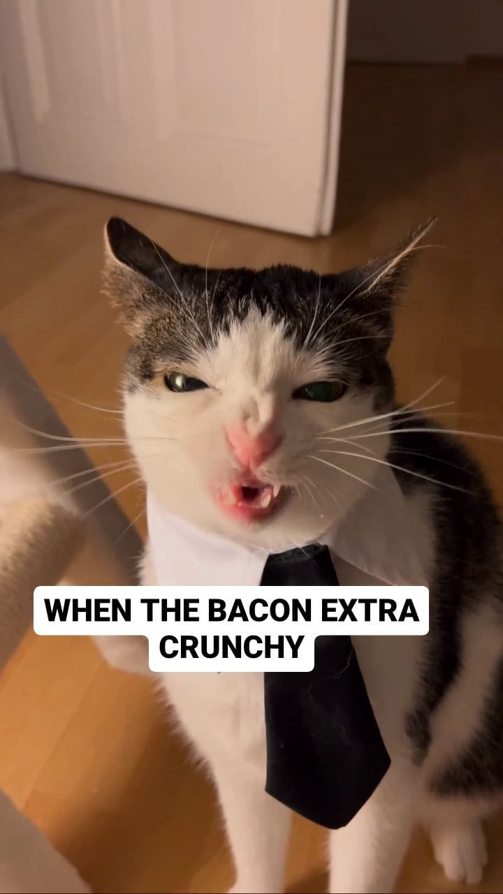 Post 5 by Richard the "Bacon King" on Instagram (video)