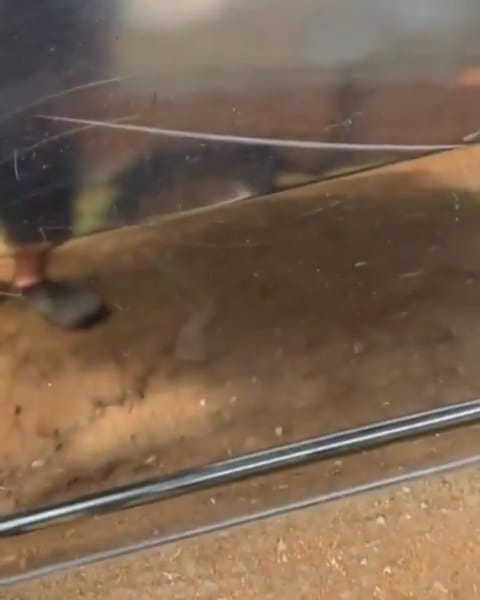 Post 8 by 🏅CARS LOVER🏅 on Instagram (video)