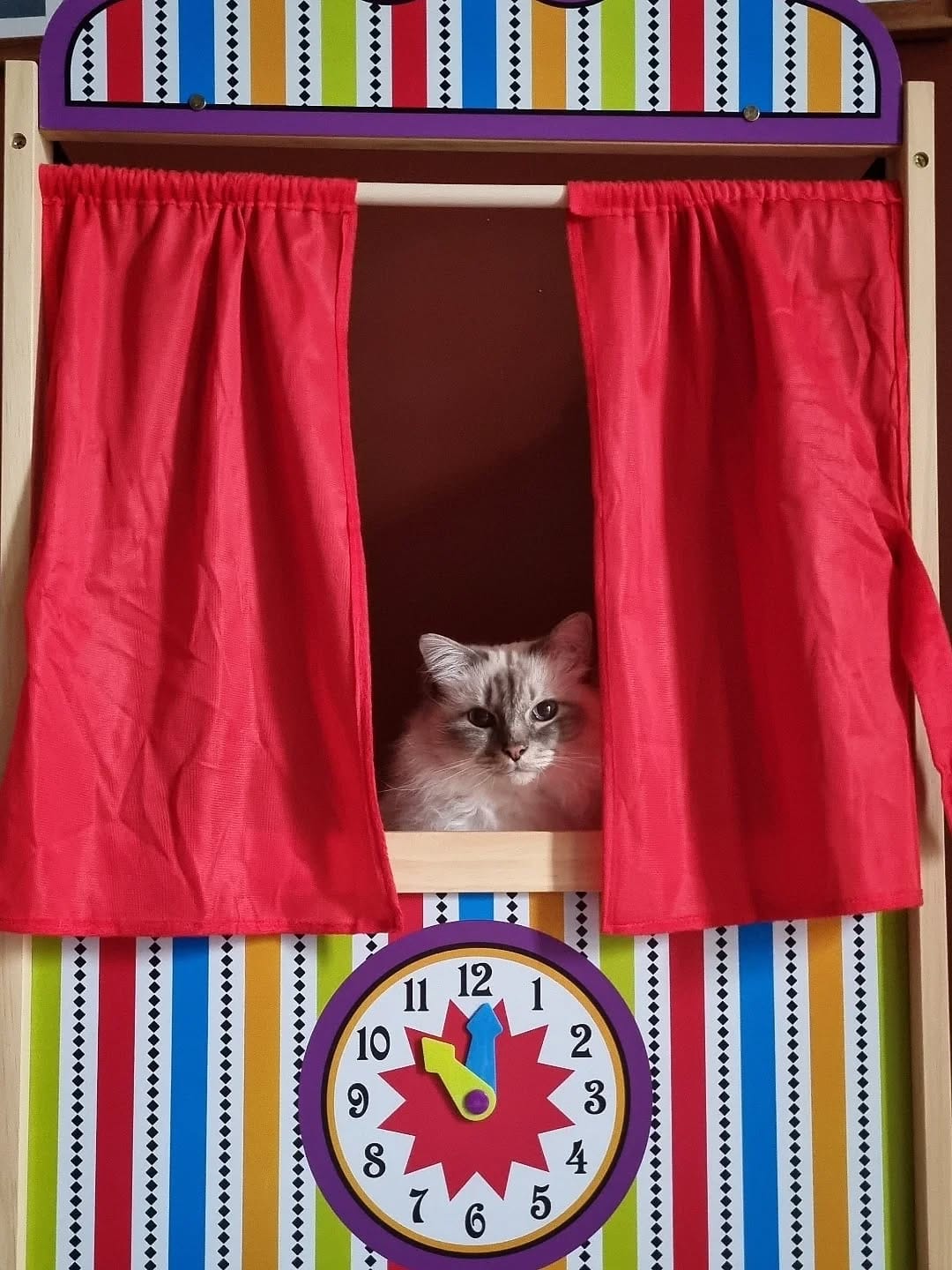 Post 5 by Boggy the roman good fellow😼🇮🇹 on Instagram (image)