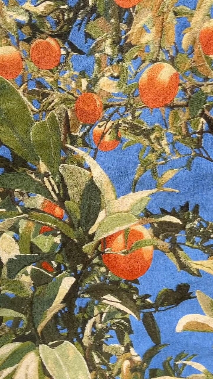 Post 1 by Mustafa Boğa on Instagram (video)