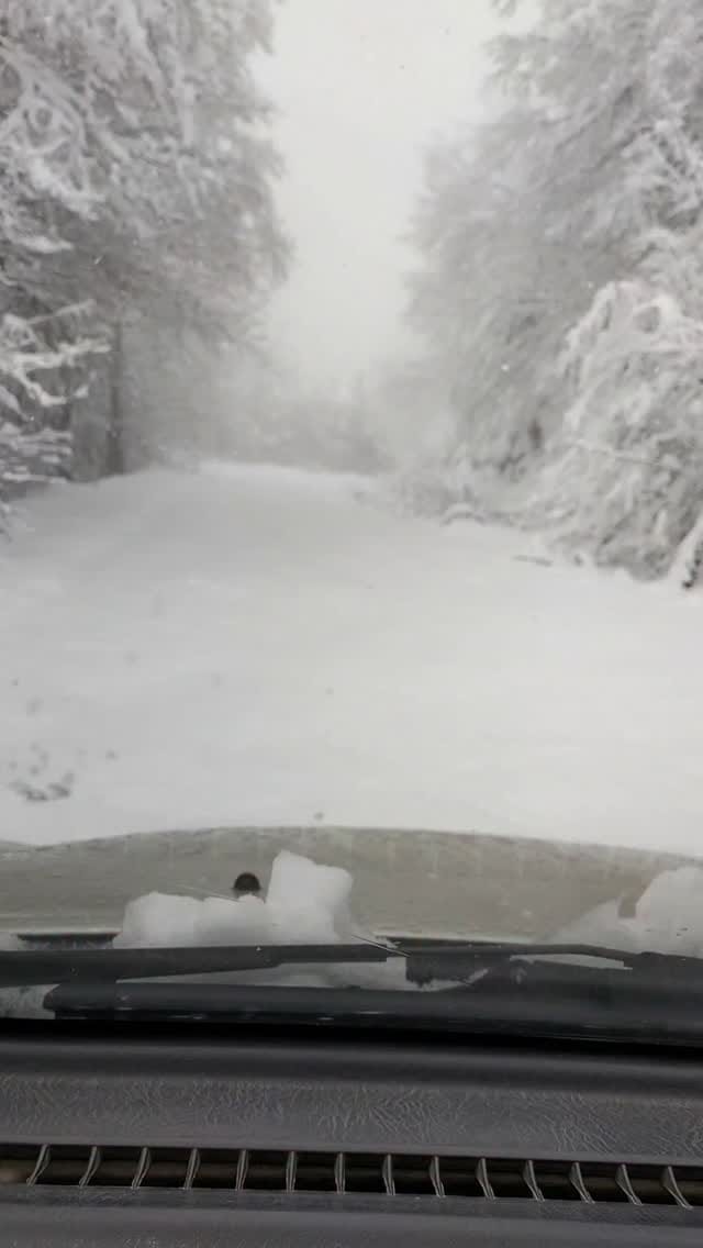 Post 6 by yasar semiz on Instagram (video)