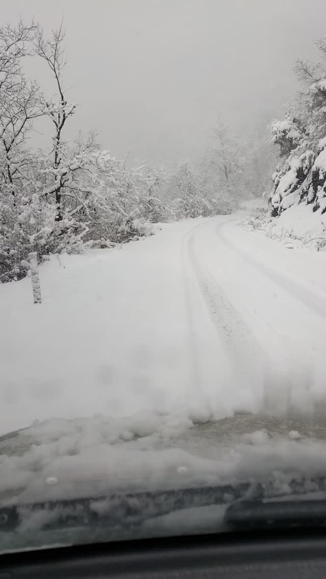 Post 7 by yasar semiz on Instagram (video)