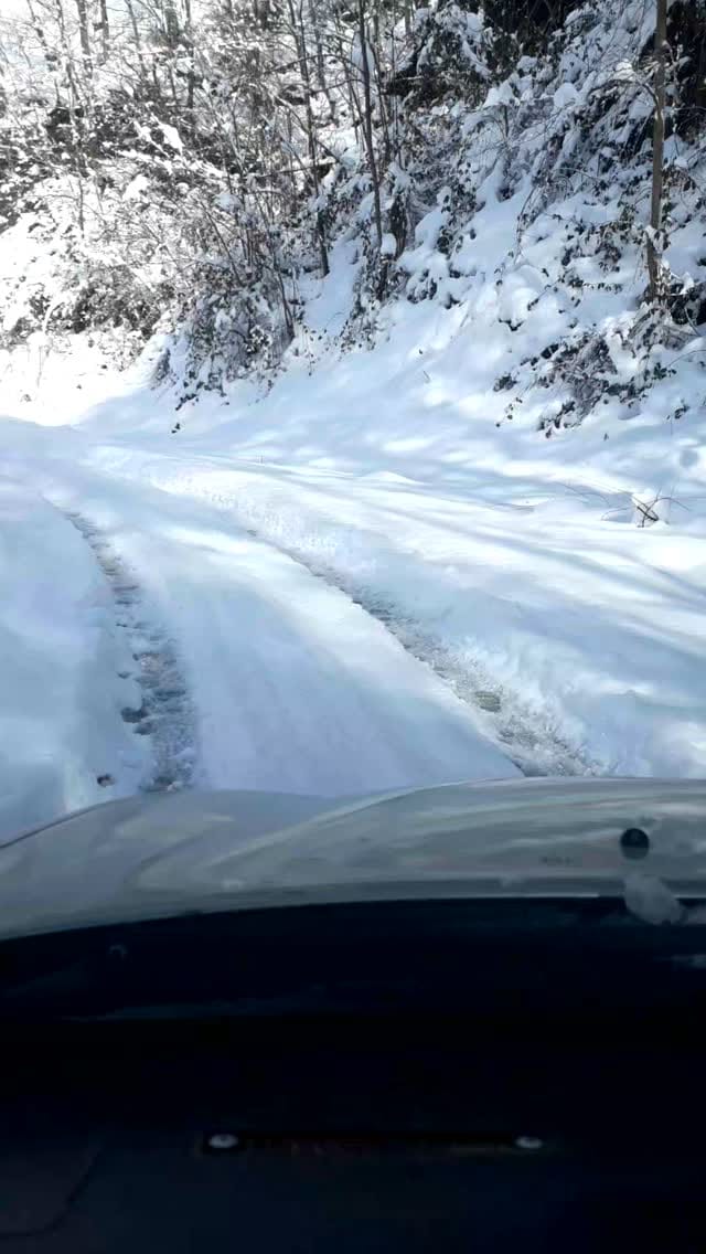 Post 10 by yasar semiz on Instagram (video)