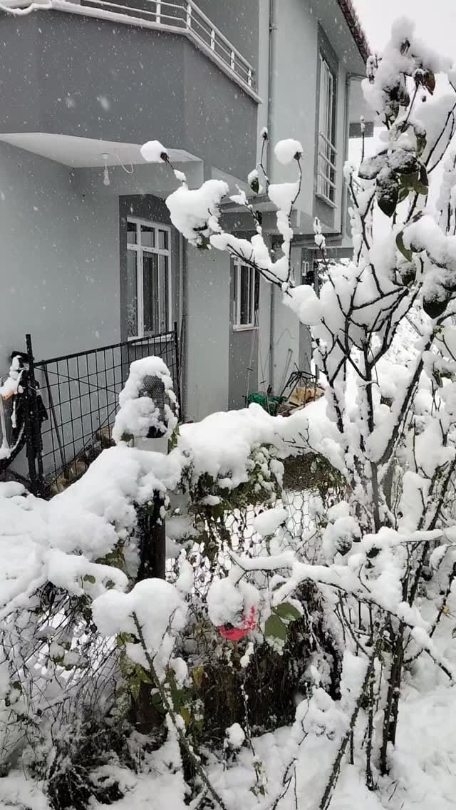 Post 5 by yasar semiz on Instagram (video)