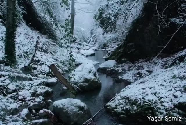 Post 4 by yasar semiz on Instagram (video)