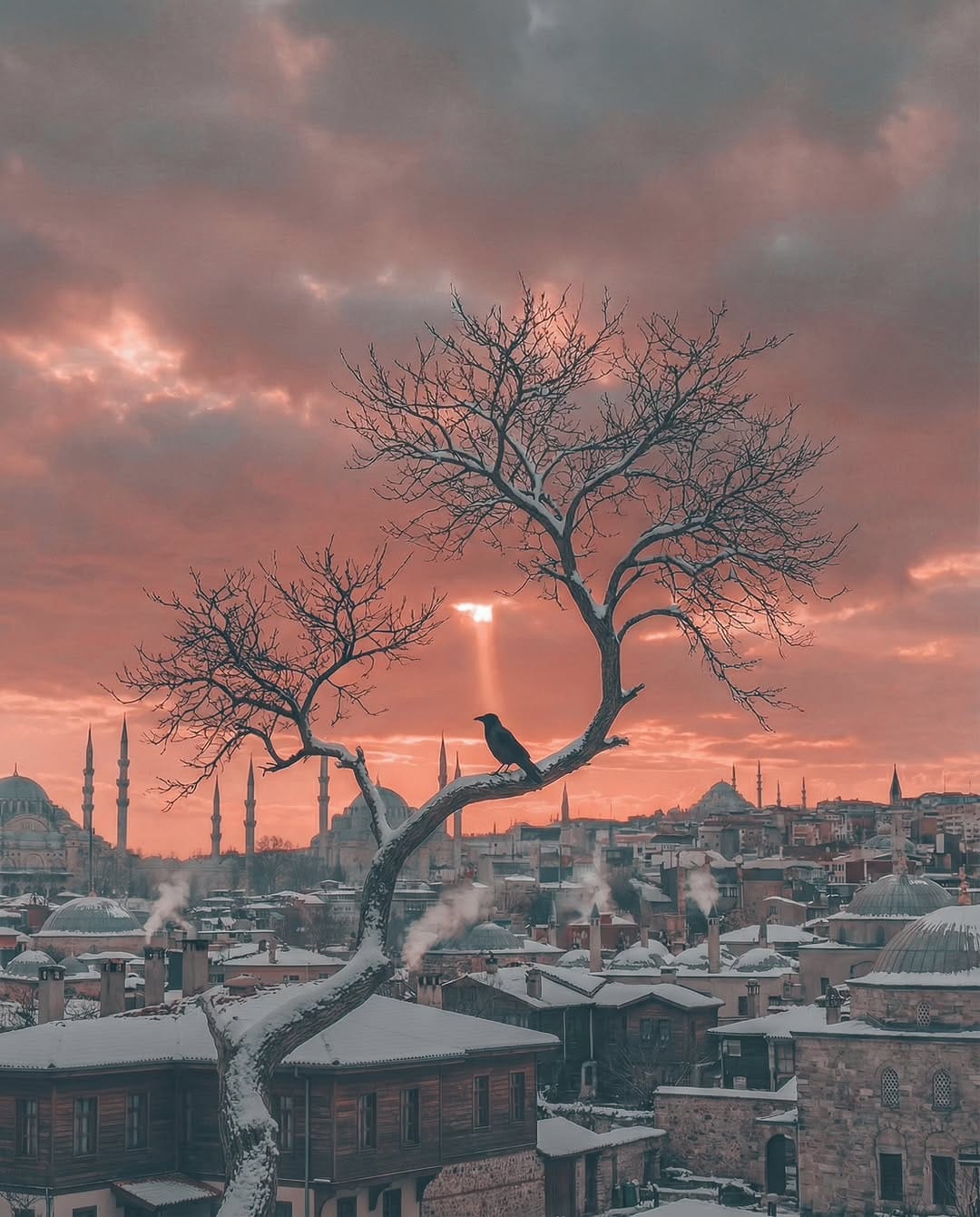 Post 4 by Alper Yesiltas on Instagram (image)