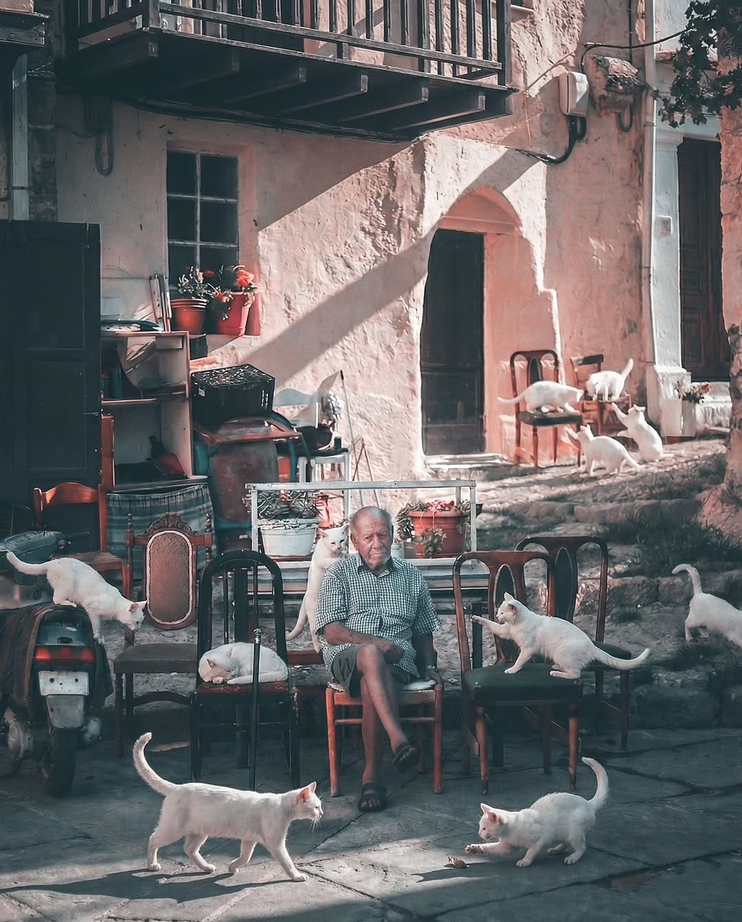 Post 3 by Alper Yesiltas on Instagram (image)