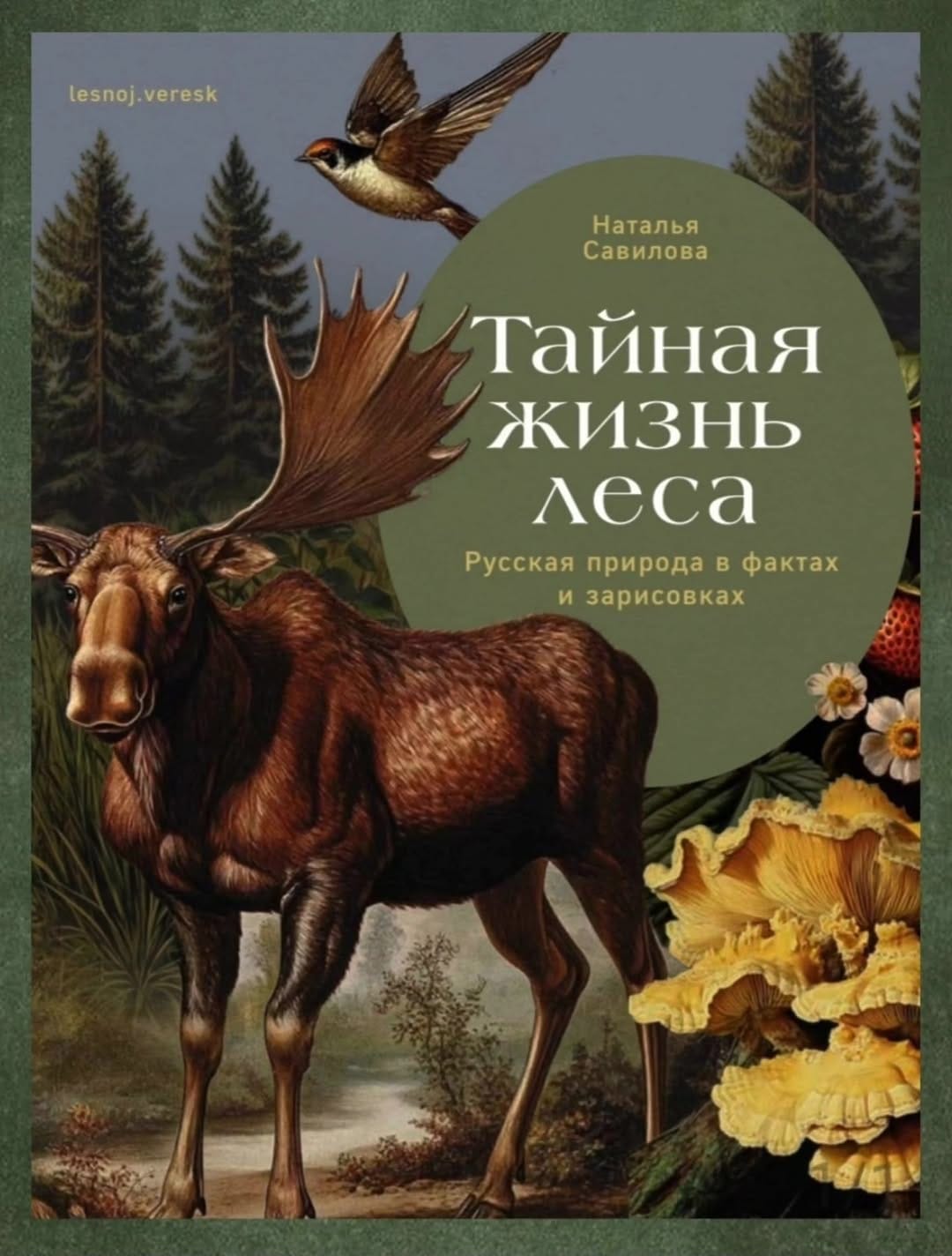 Post 10 by Наташа Савилова 🌲 Лес. Природа. Творчество on Instagram (carousel)