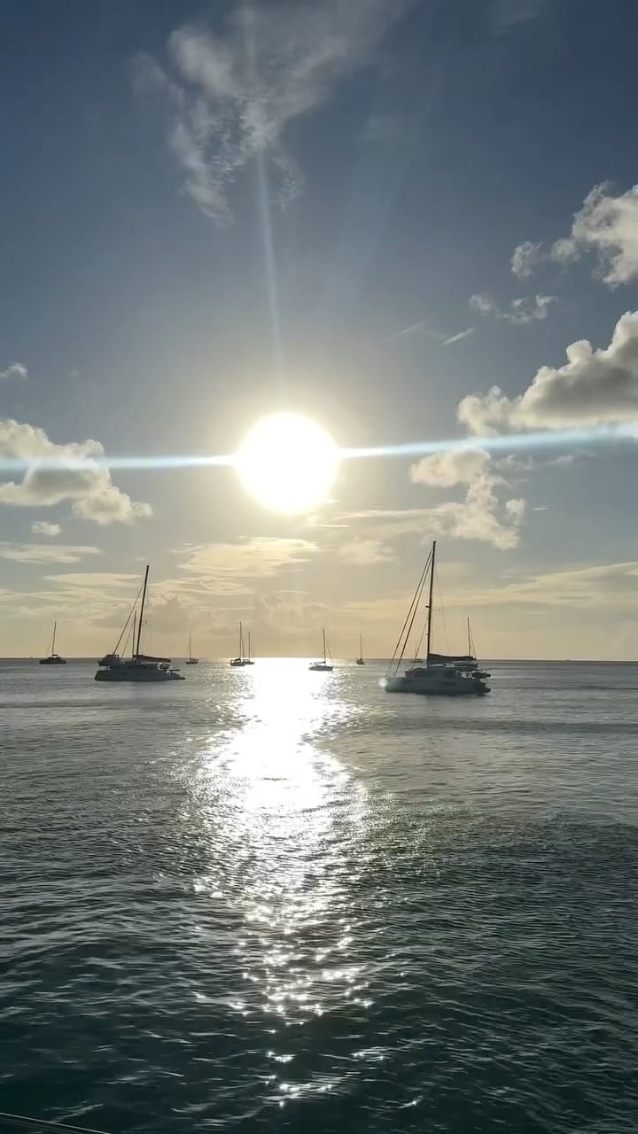 Post 3 by ⭐️flo on Instagram (video)
