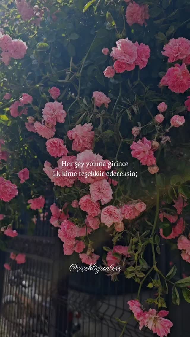 Post 10 by Örgü çiçek ❀ Saliha on Instagram (video)