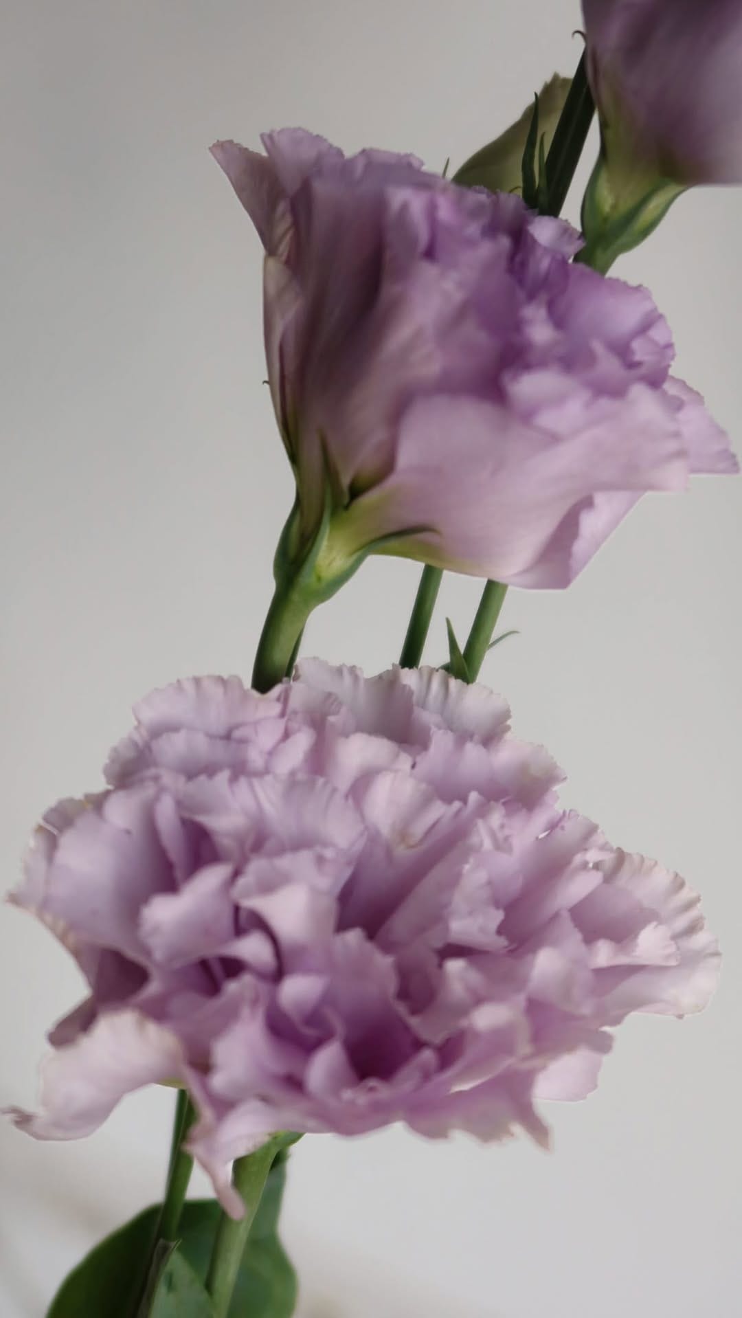 Post 2 by EMMA SARTINI on Instagram (video)
