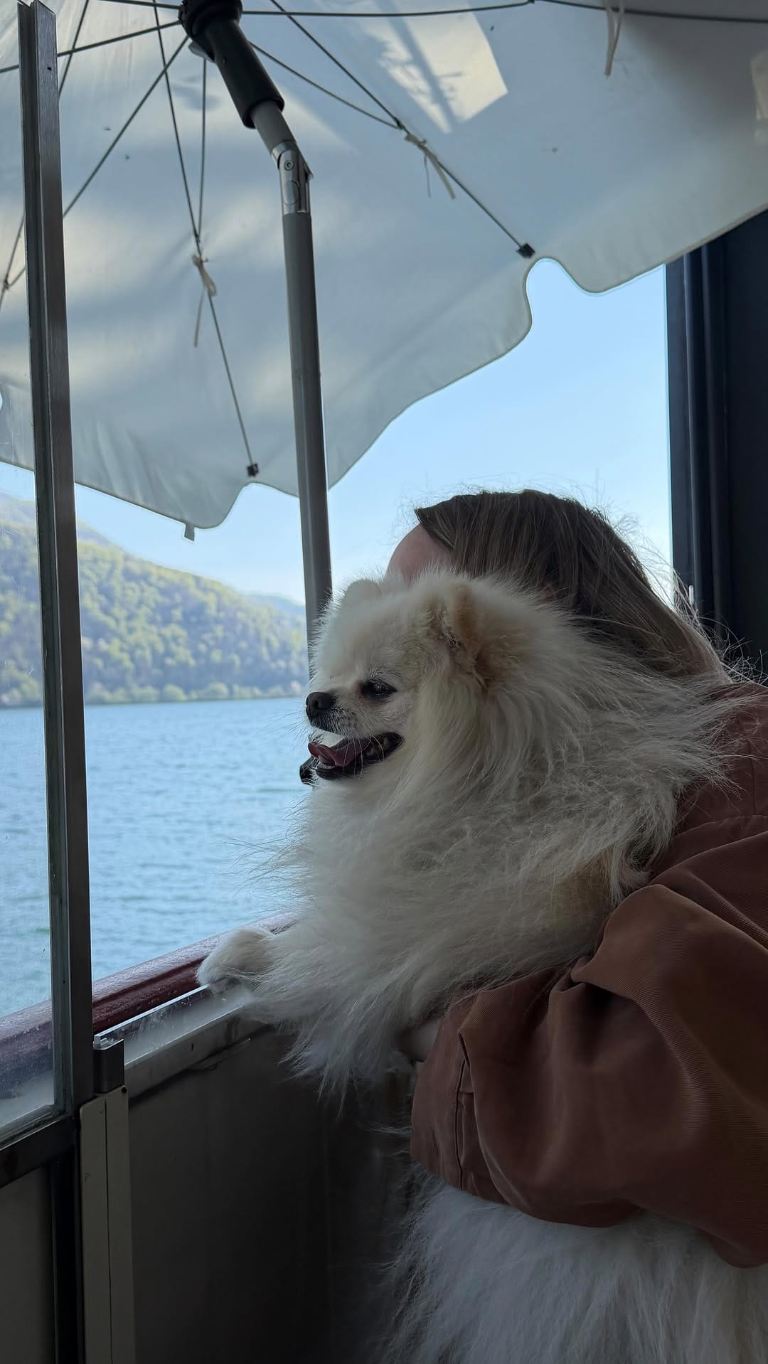 Post 10 by Tati Sibio on Instagram (video)