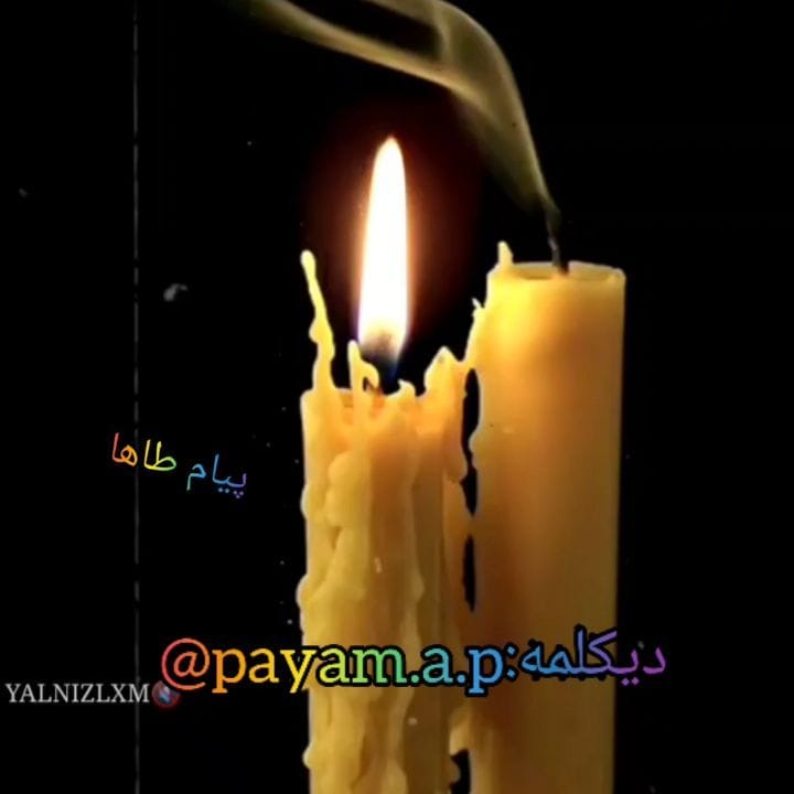 Post 5 by @payam.a.p on Instagram (video)