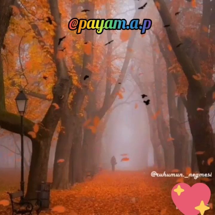 Post 6 by @payam.a.p on Instagram (video)