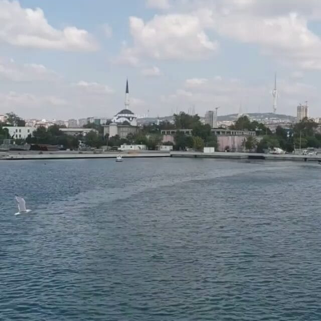 Post 8 by @payam.a.p on Instagram (video)