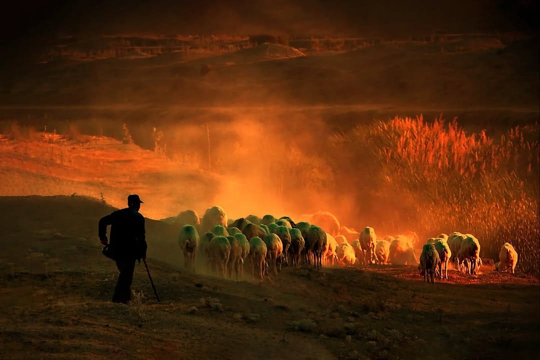 Post 9 by Mustafa Şahbaz on Instagram (image)
