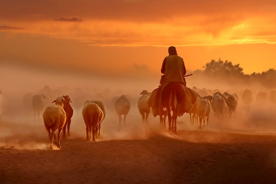 Post 2 by Mustafa Şahbaz on Instagram (image)