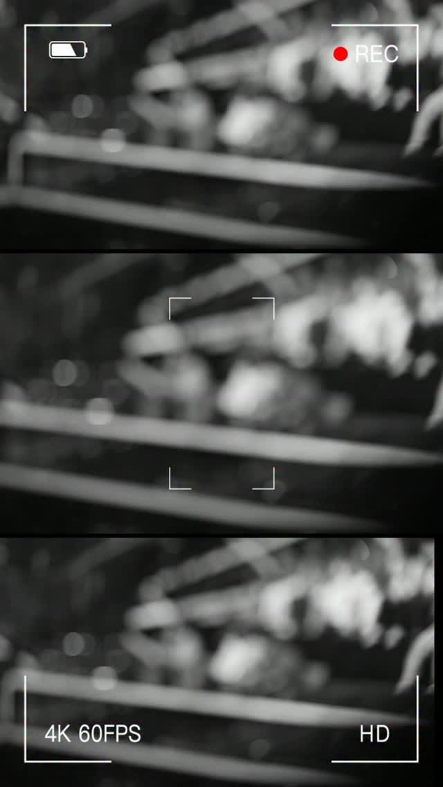 Post 3 by Romsha Singh on Instagram (video)