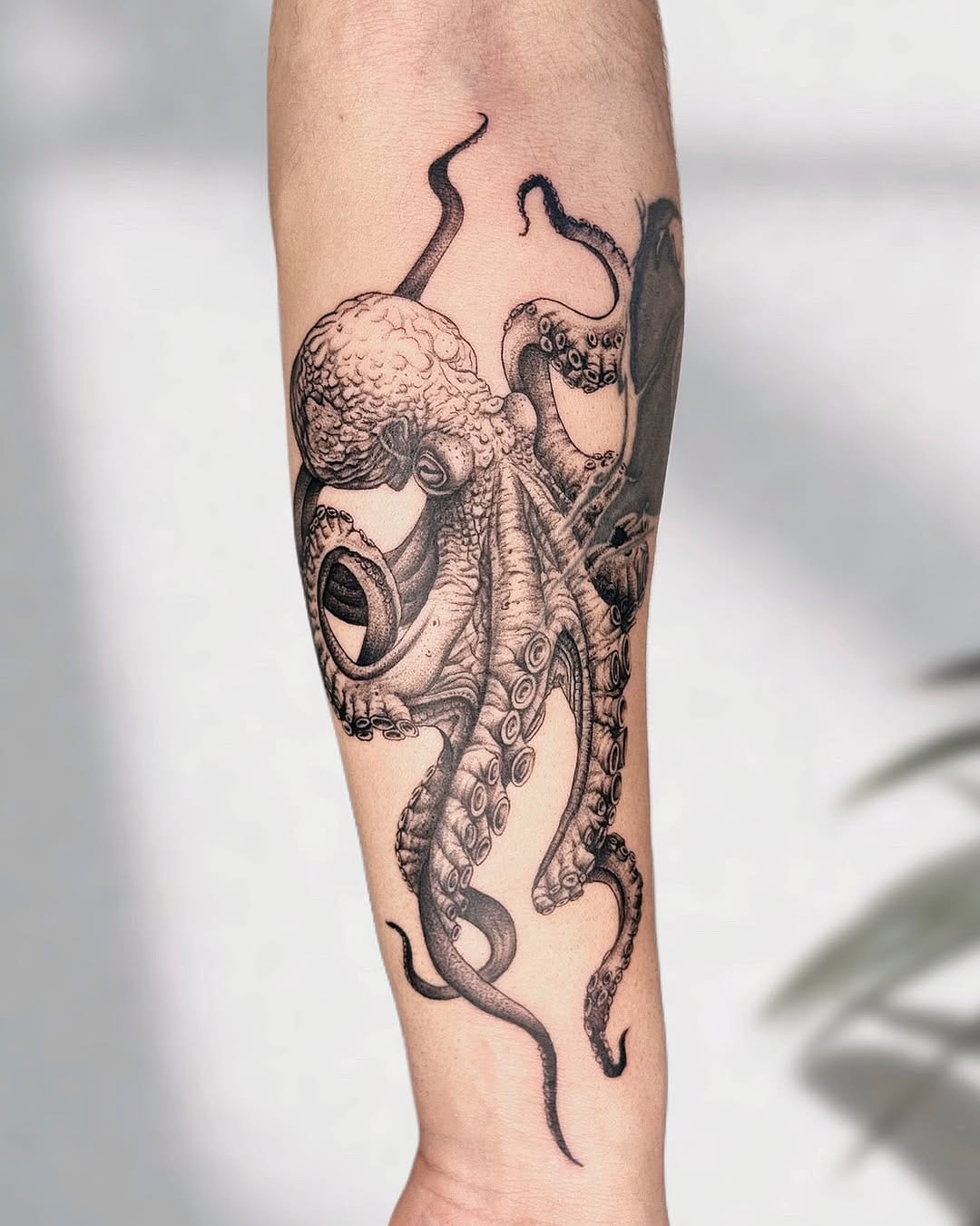 Post 6 by Esra Işıklar • Tattoo Artist on Instagram (image)