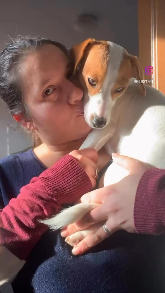 Post 5 by Stellina Junior🐾Calarota on Instagram (video)