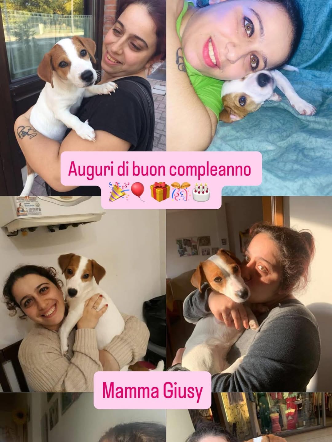Post 2 by Stellina Junior🐾Calarota on Instagram (image)
