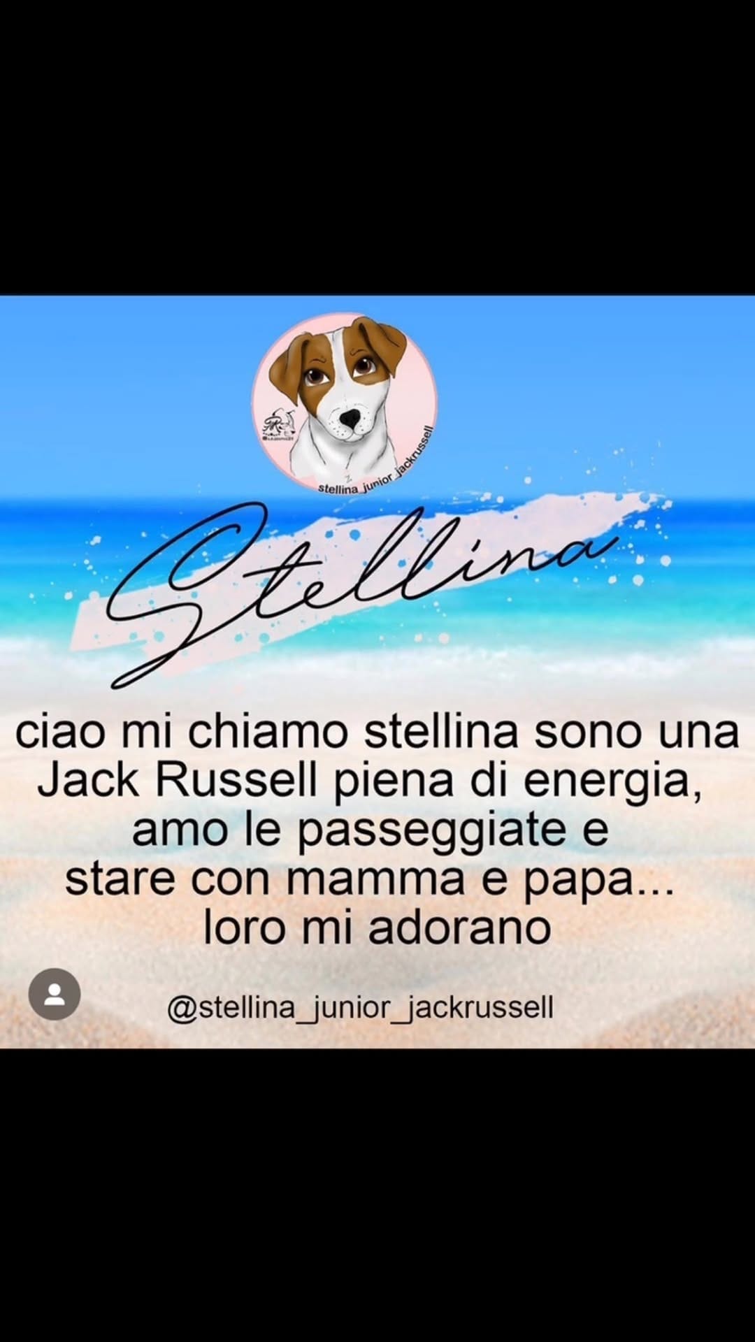 Post 9 by Stellina Junior🐾Calarota on Instagram (video)