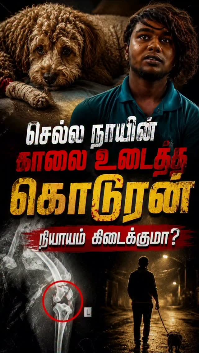 Post 5 by RAGHAVAN PUGAZH A.K.A ROCKYN on Instagram (video)