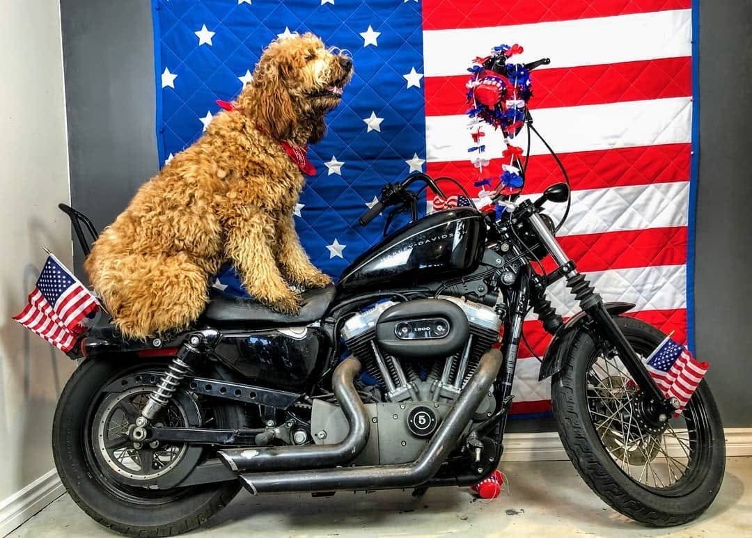 Post 4 by Theodore Rufus on Instagram (image)