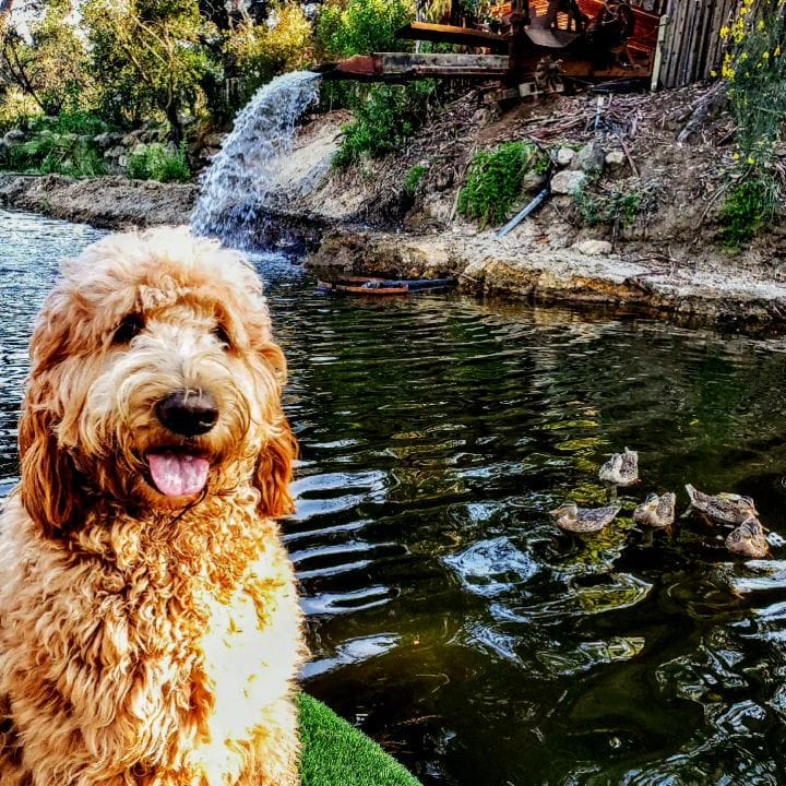 Post 5 by Theodore Rufus on Instagram (video)