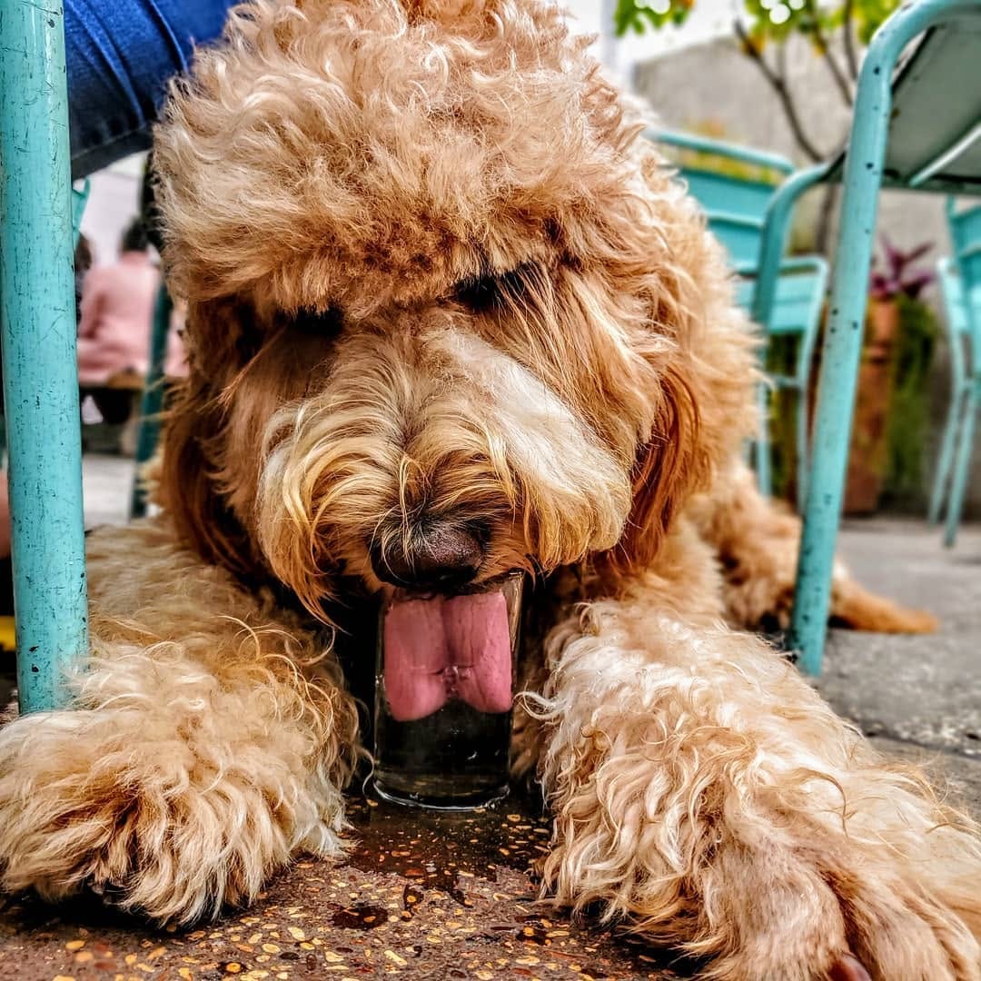 Post 8 by Theodore Rufus on Instagram (image)