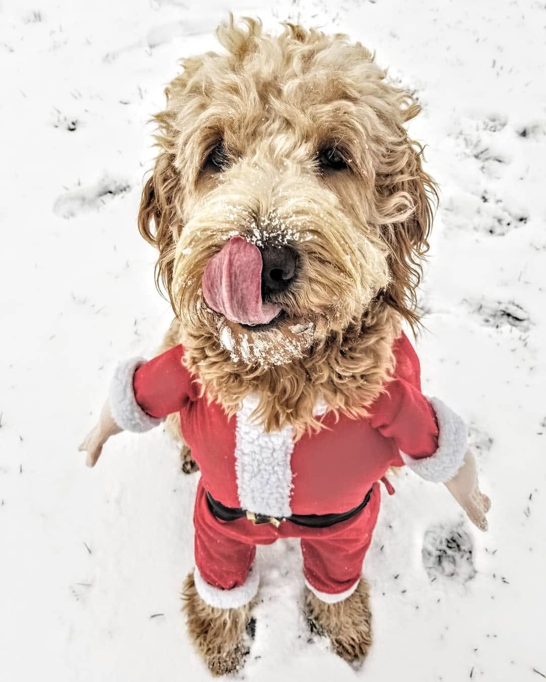 Post 6 by Theodore Rufus on Instagram (image)