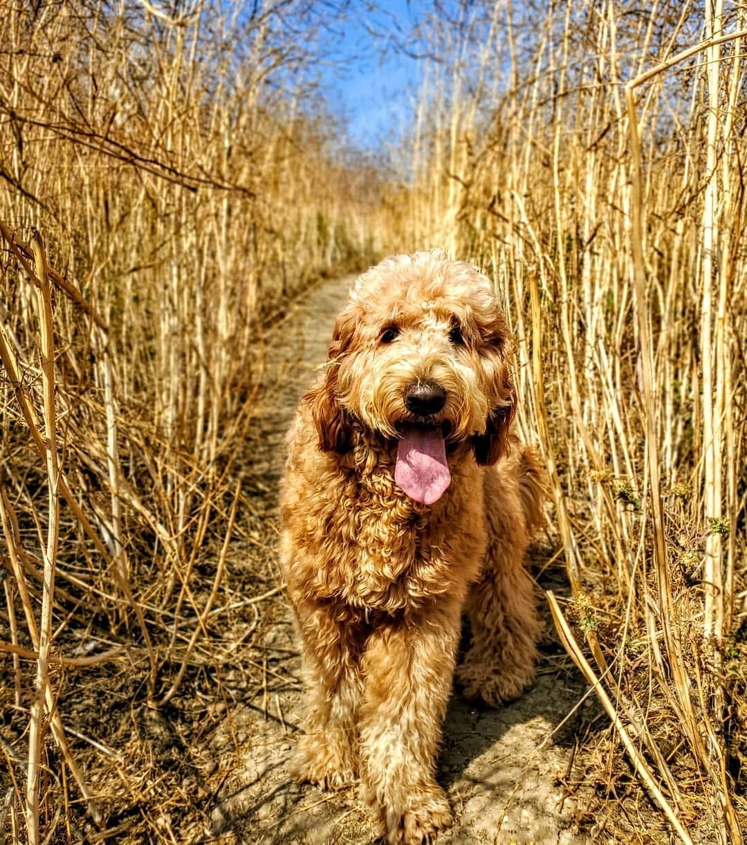 Post 3 by Theodore Rufus on Instagram (image)