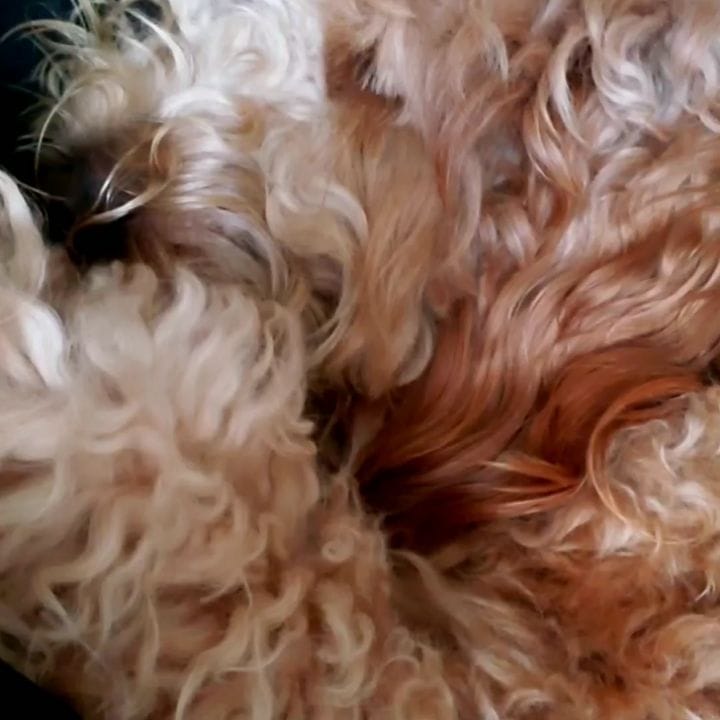 Post 9 by Theodore Rufus on Instagram (video)