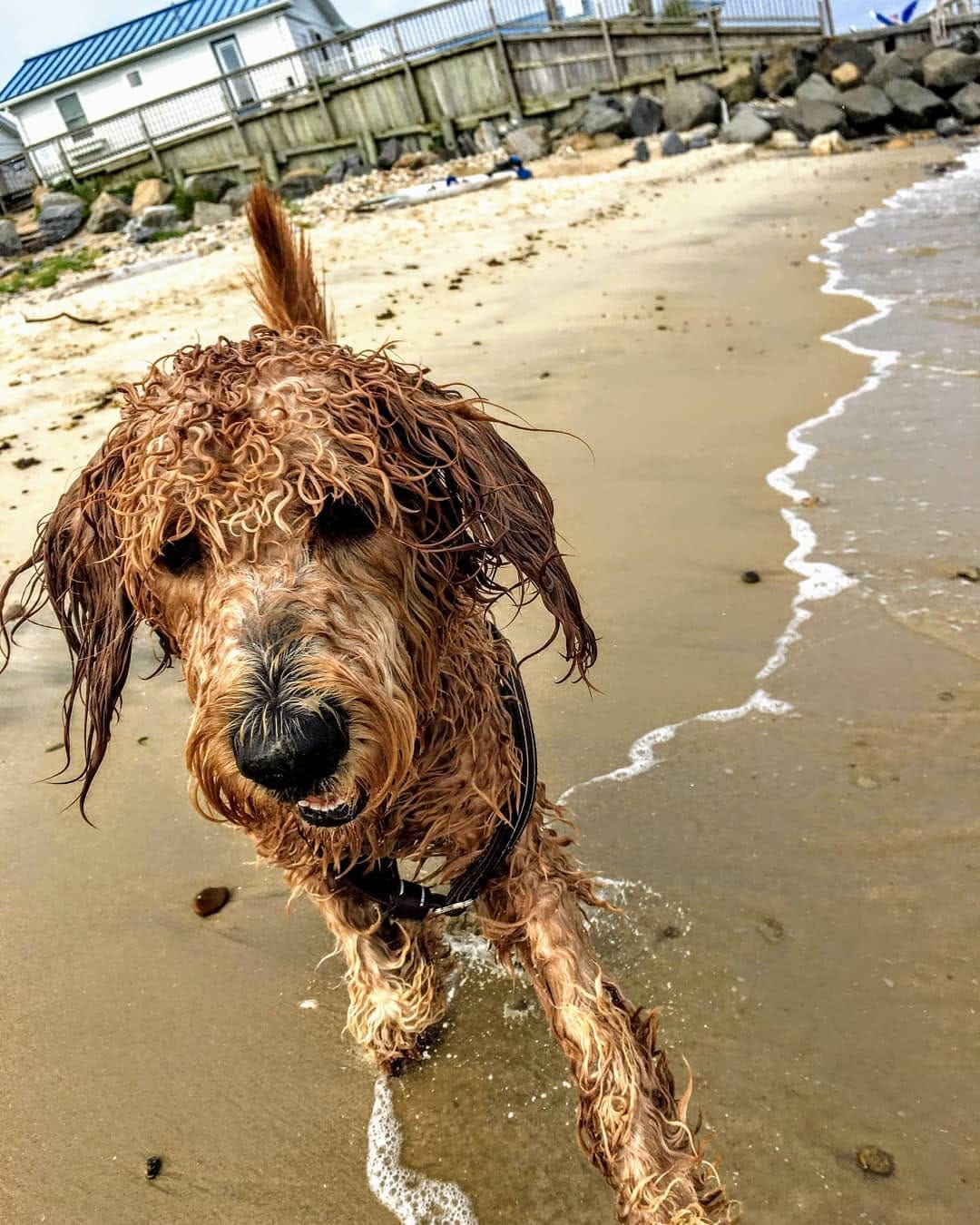 Post 10 by Theodore Rufus on Instagram (image)
