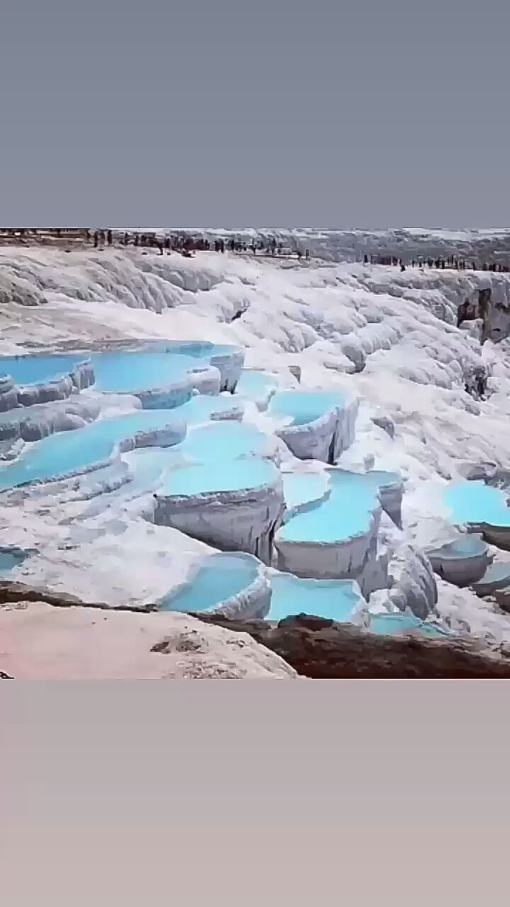 Post 8 by NATURELOJİ on Instagram (video)