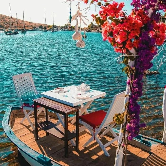 Post 5 by NATURELOJİ on Instagram (image)