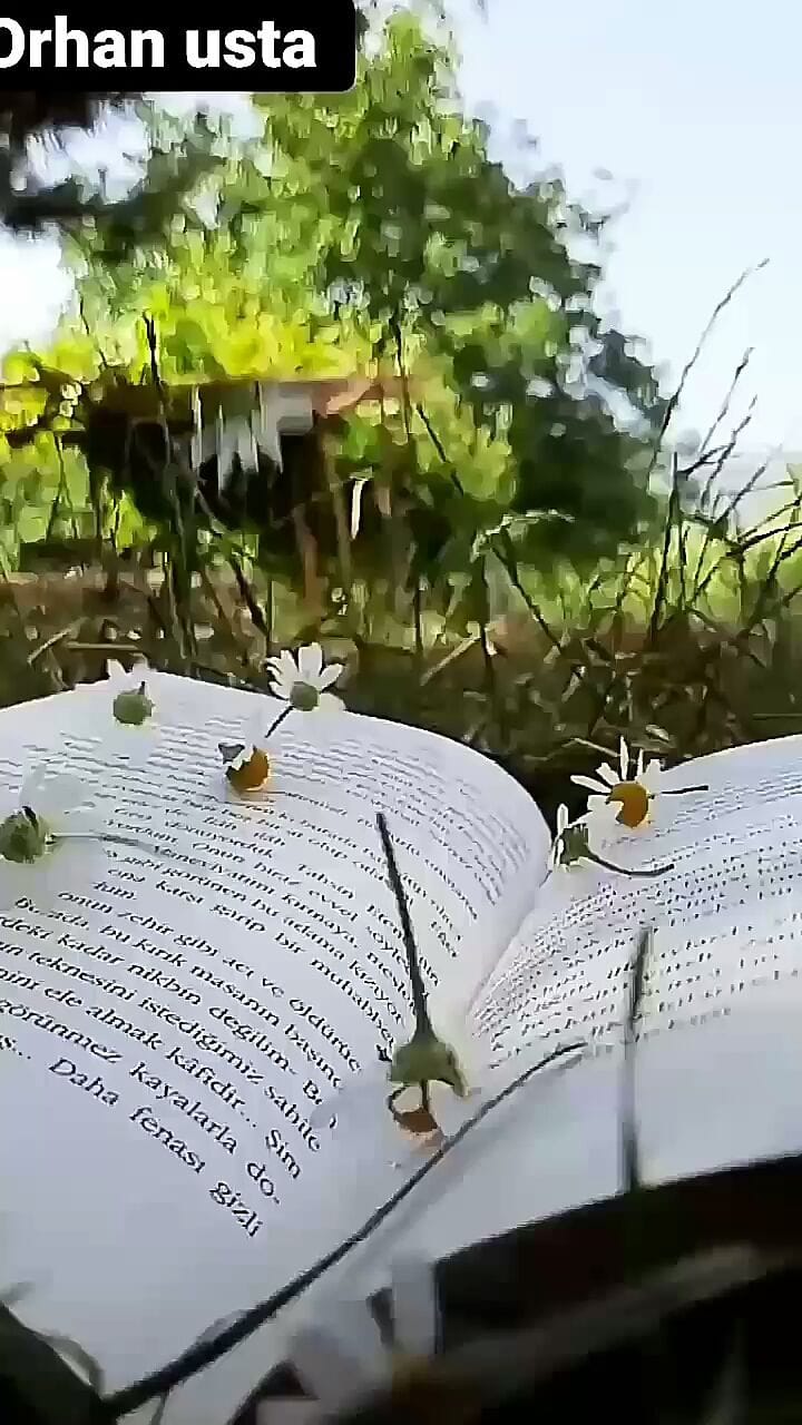 Post 9 by NATURELOJİ on Instagram (video)