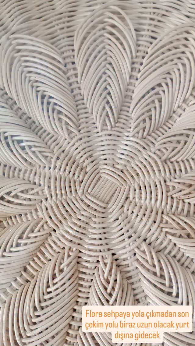 Post 8 by Zehra Bayraktar on Instagram (video)