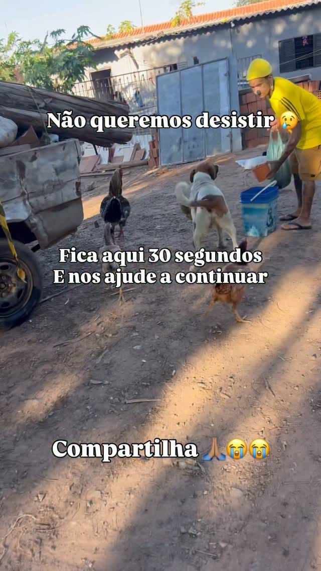 Post 3 by Adriano Lemos on Instagram (video)