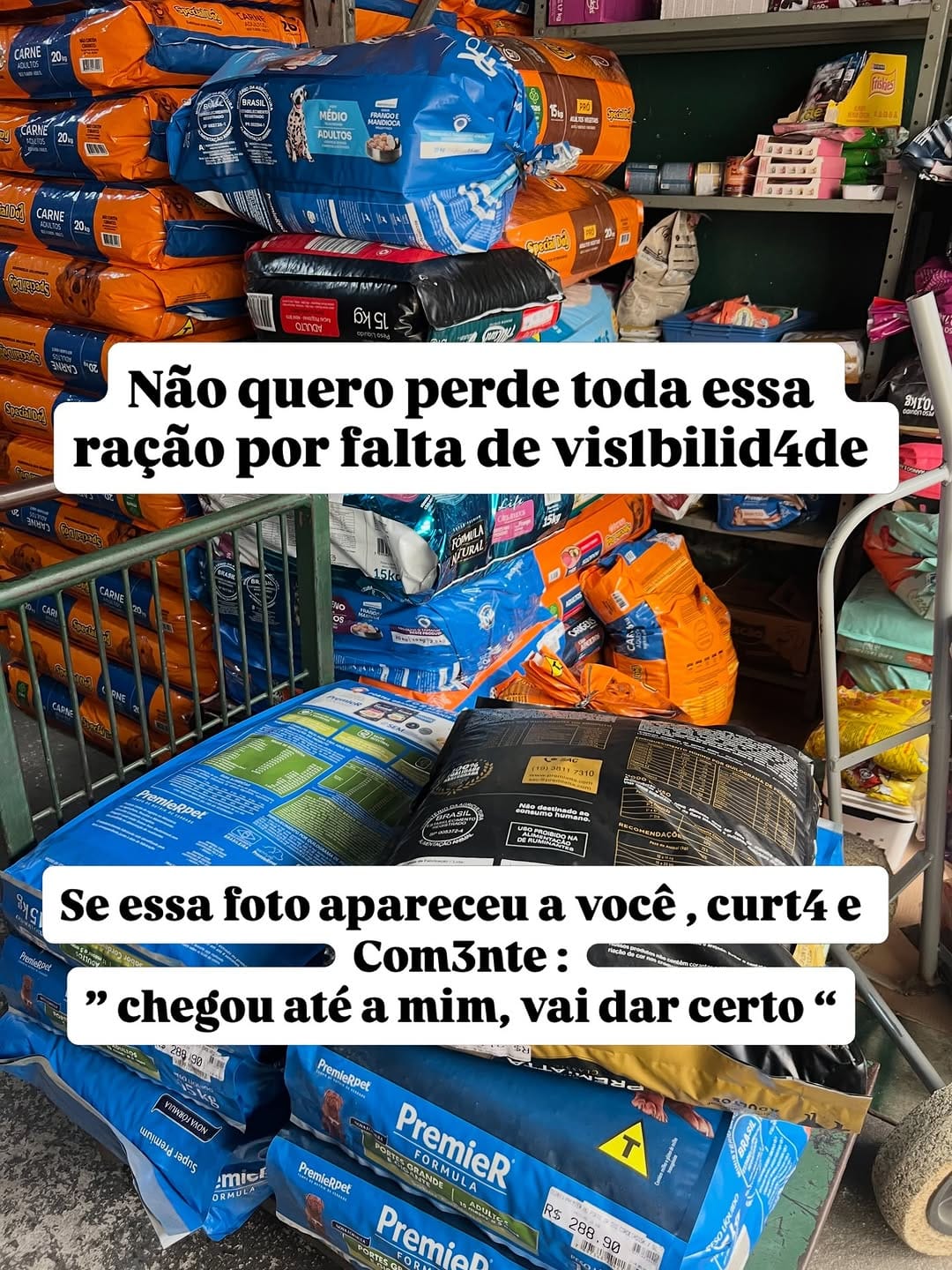 Post 6 by Adriano Lemos on Instagram (image)