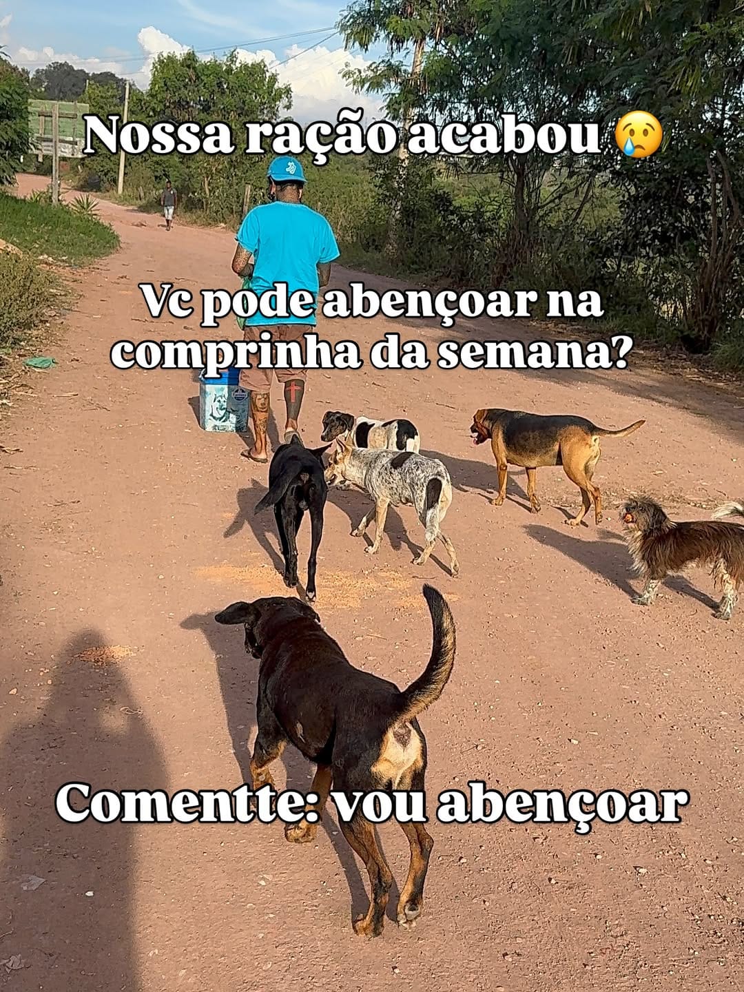 Post 5 by Adriano Lemos on Instagram (image)
