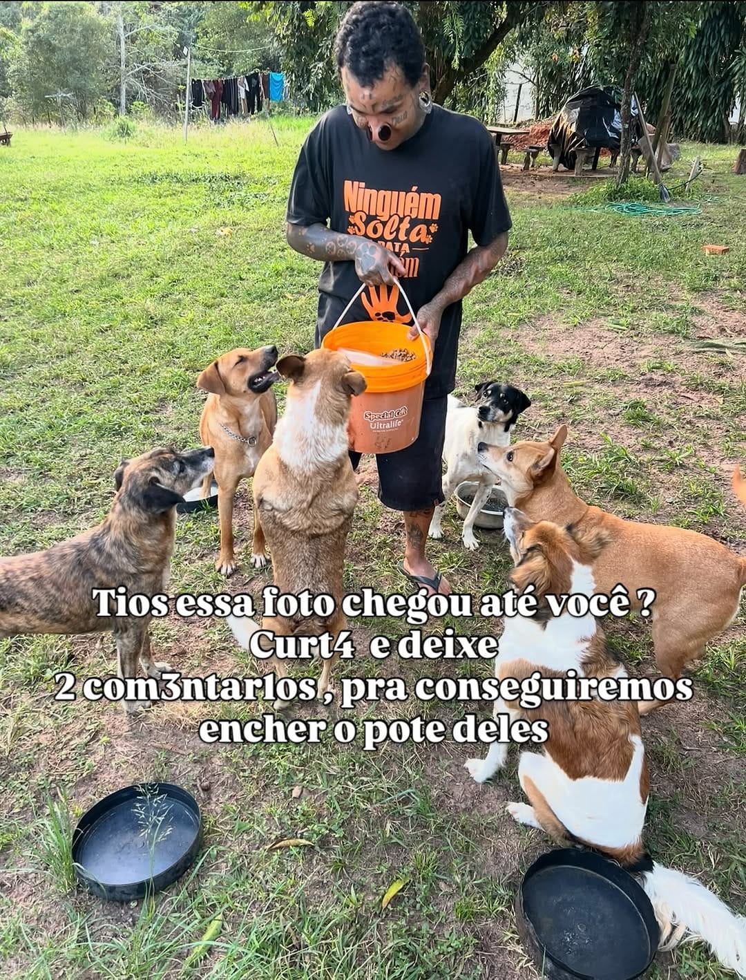 Post 7 by Adriano Lemos on Instagram (image)
