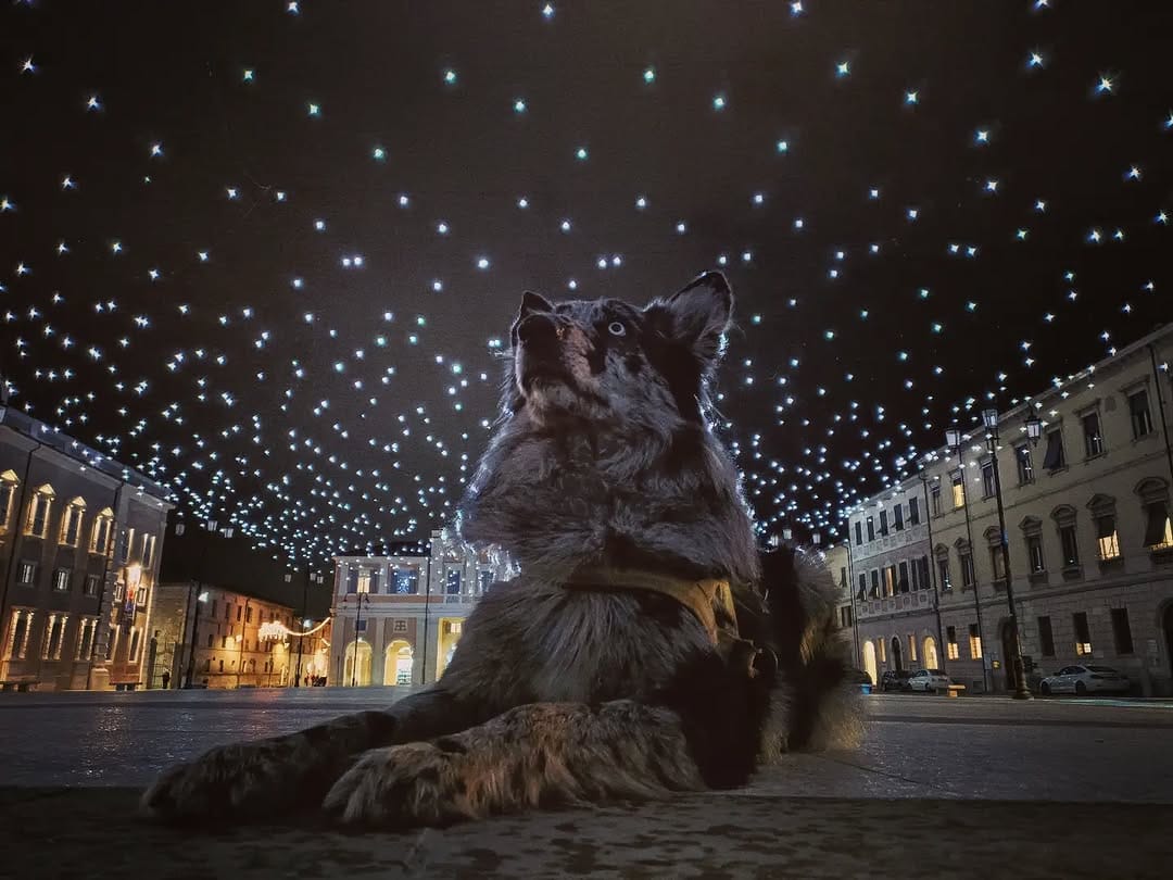 Post 6 by ABU on Instagram (image)