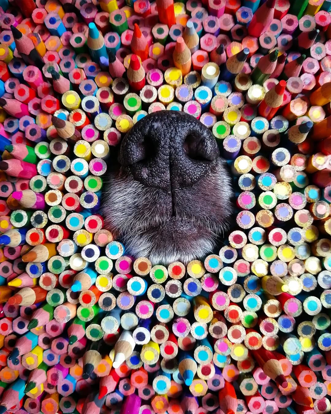 Post 8 by ABU on Instagram (image)