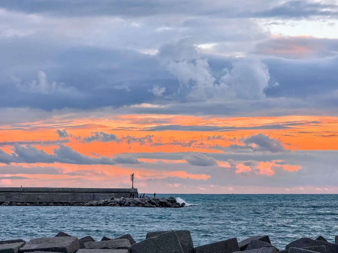 Post 7 by Antonella D'Amico on Instagram (image)