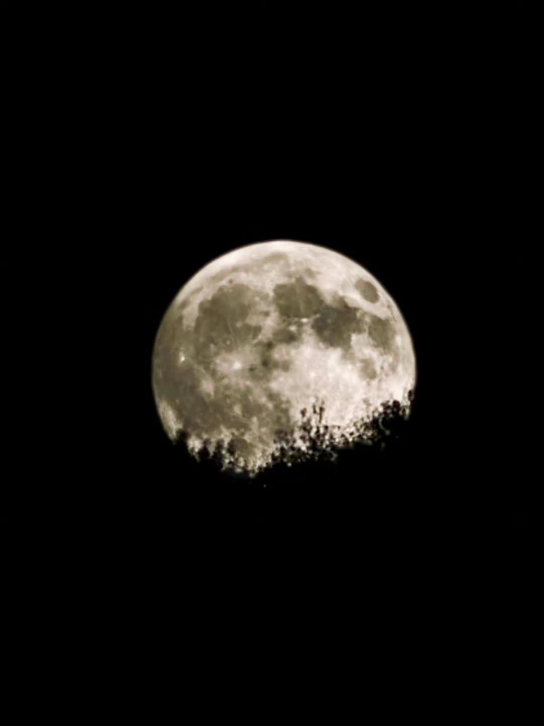 Post 1 by Antonella D'Amico on Instagram (image)