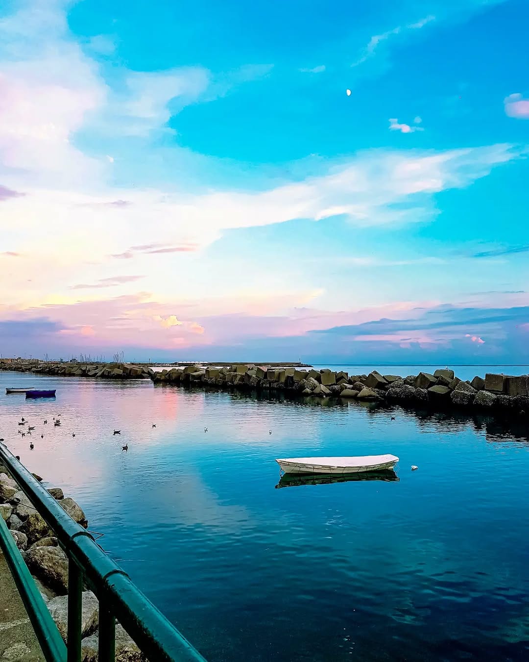 Post 9 by Antonella D'Amico on Instagram (image)