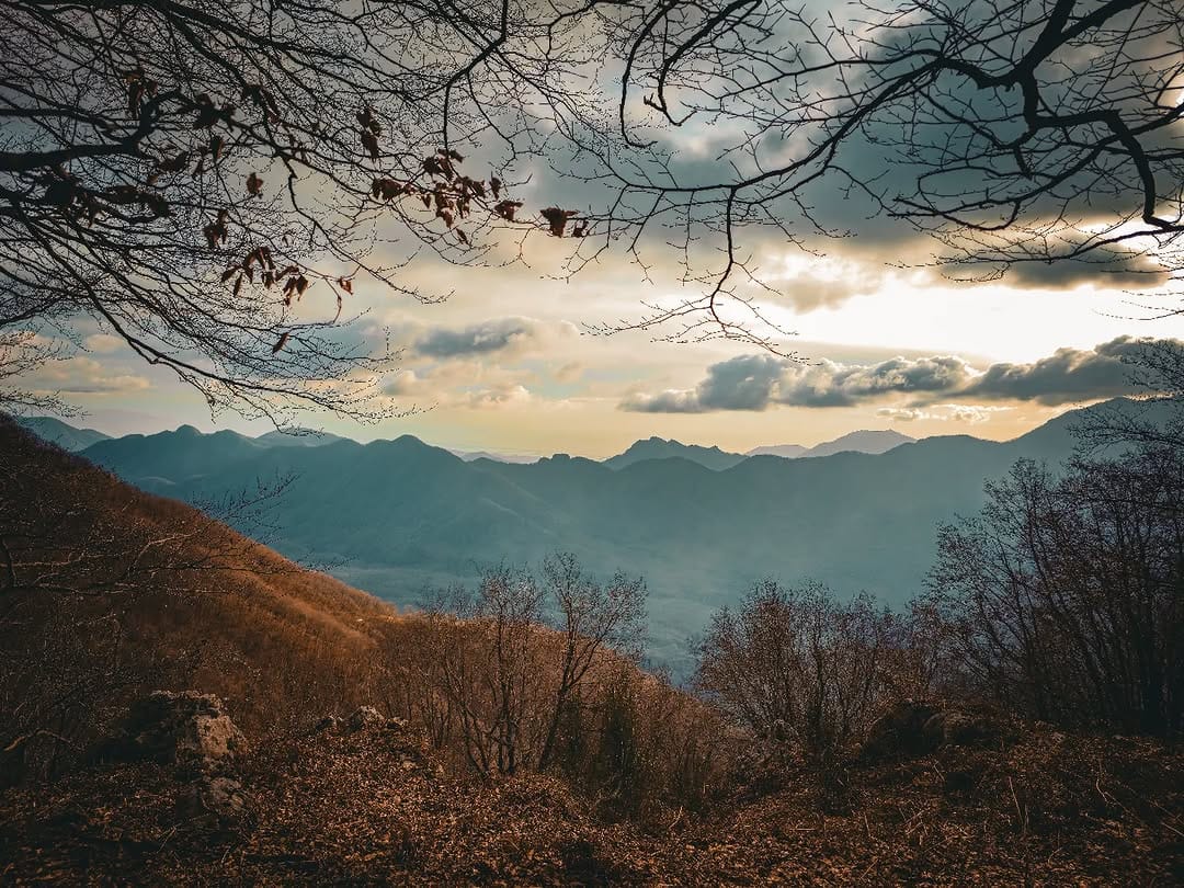 Post 5 by Antonella D'Amico on Instagram (image)