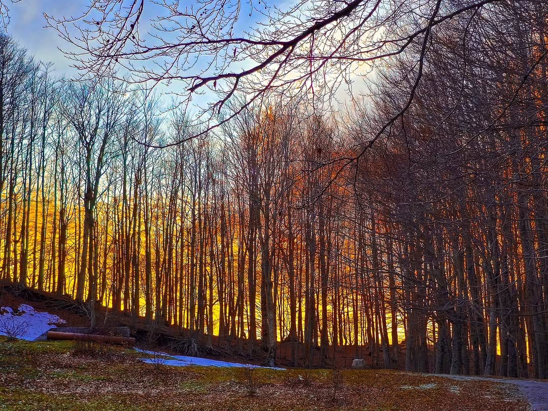 Post 8 by Antonella D'Amico on Instagram (image)