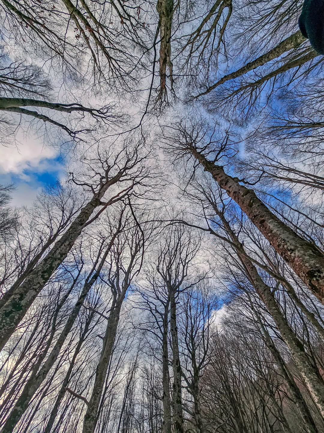 Post 3 by Antonella D'Amico on Instagram (image)